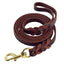 Leather Braided Dog Leash - Lovepawz