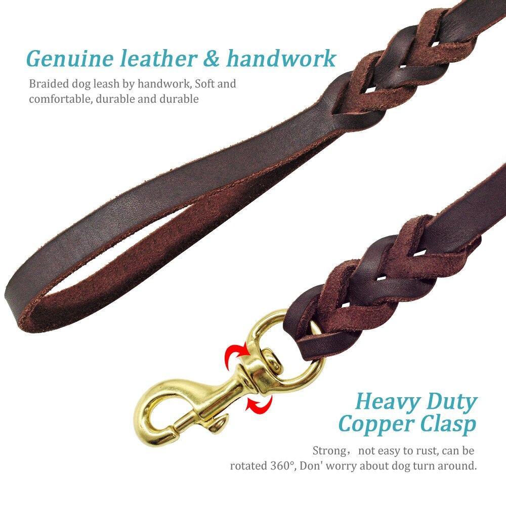 Leather Braided Dog Leash - Lovepawz