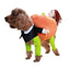 Funny Dog Pumpkin Costume - Lovepawz