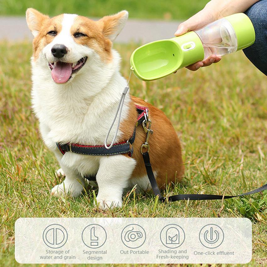 Portable Drinking Dog Ultimate Water Feeder - Lovepawz
