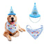 Pet Birthday Set - Lovepawz