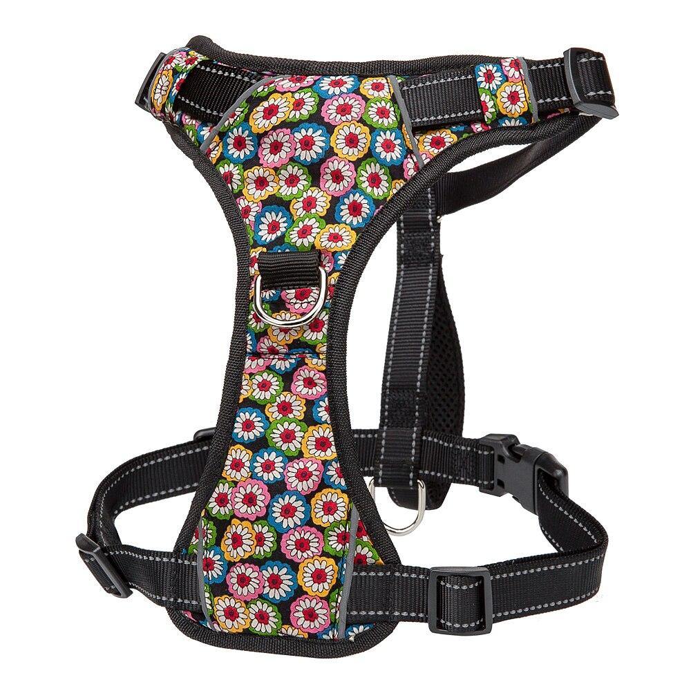 Nylon Quick Control Harness - Lovepawz