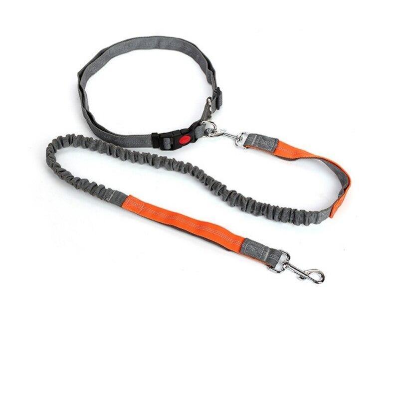 Elastic Breakaway Hand Free Waist leash - Lovepawz