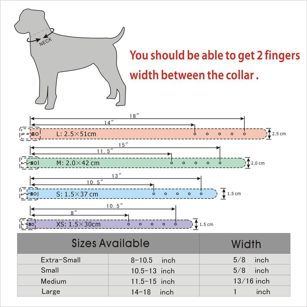 Blingaling Personalized Collar - Lovepawz