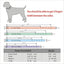 Blingaling Personalized Collar - Lovepawz