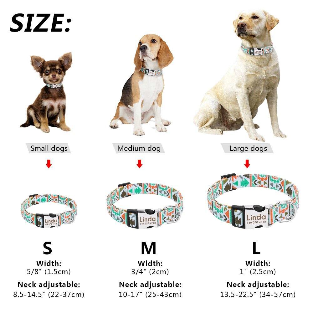 Custom Picasso Dog Collar - Lovepawz