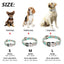 Custom Picasso Dog Collar - Lovepawz