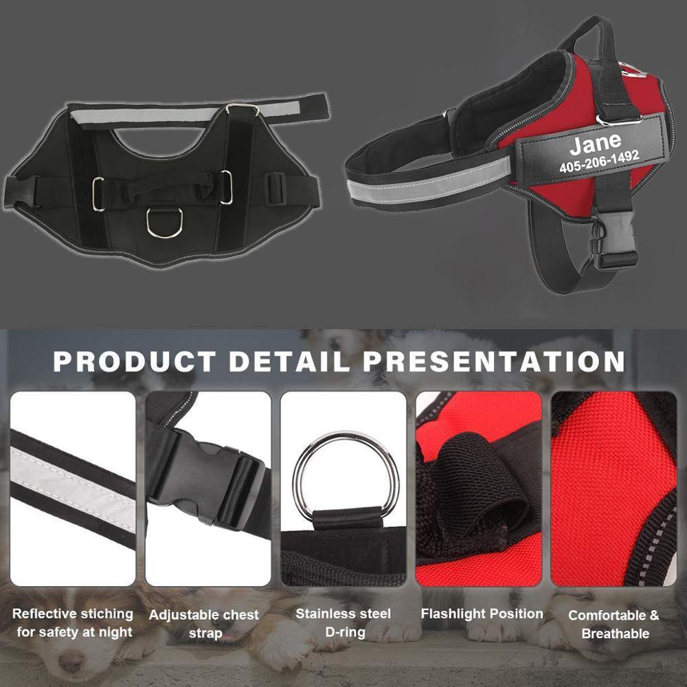 Strap'n'walk Custom Dog Harness - Lovepawz