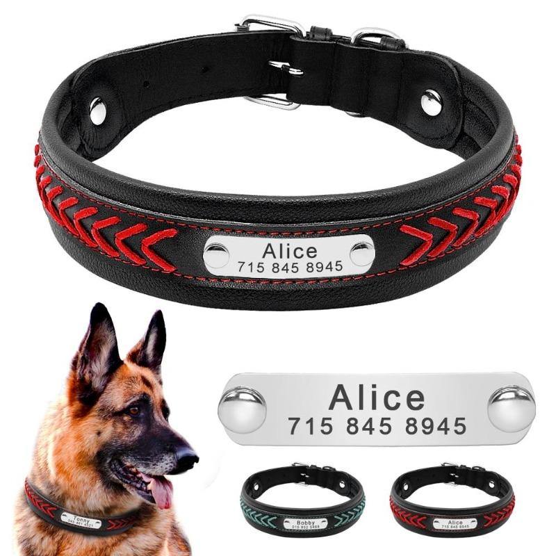Bold Collar - Lovepawz