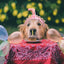 Lace Dog Hat Cap Pet Headwear Hats with Ear Holes Cute Straw Design - Lovepawz