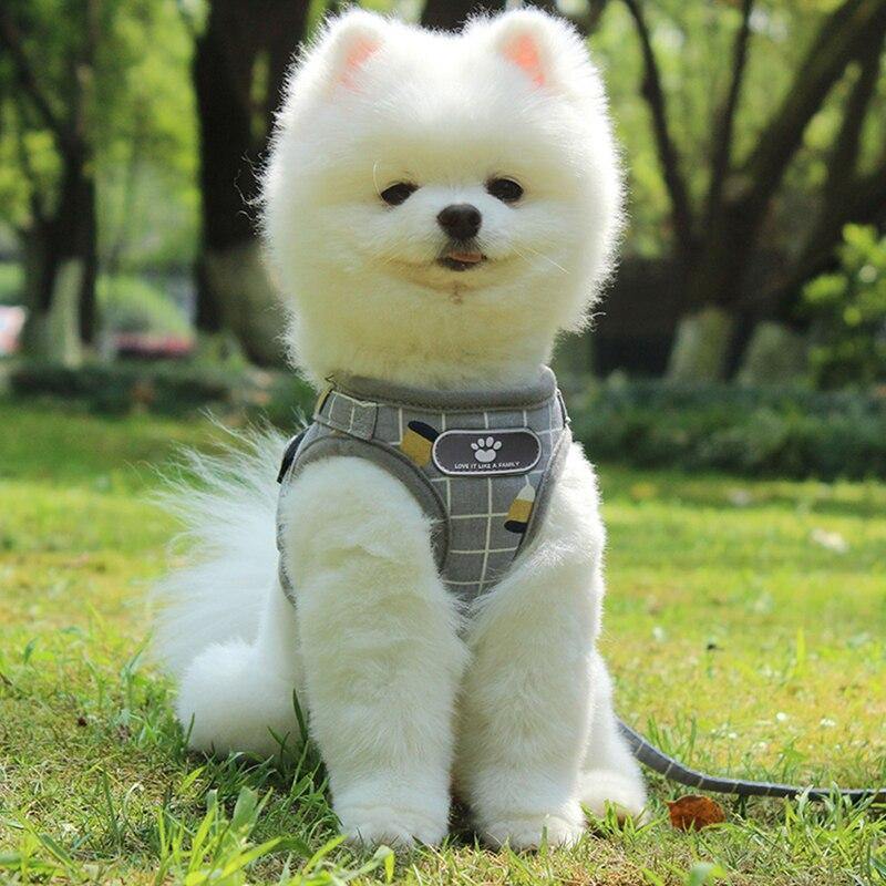 Grid Design Dog Harness and Leash Set - Lovepawz