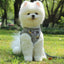 Grid Design Dog Harness and Leash Set - Lovepawz