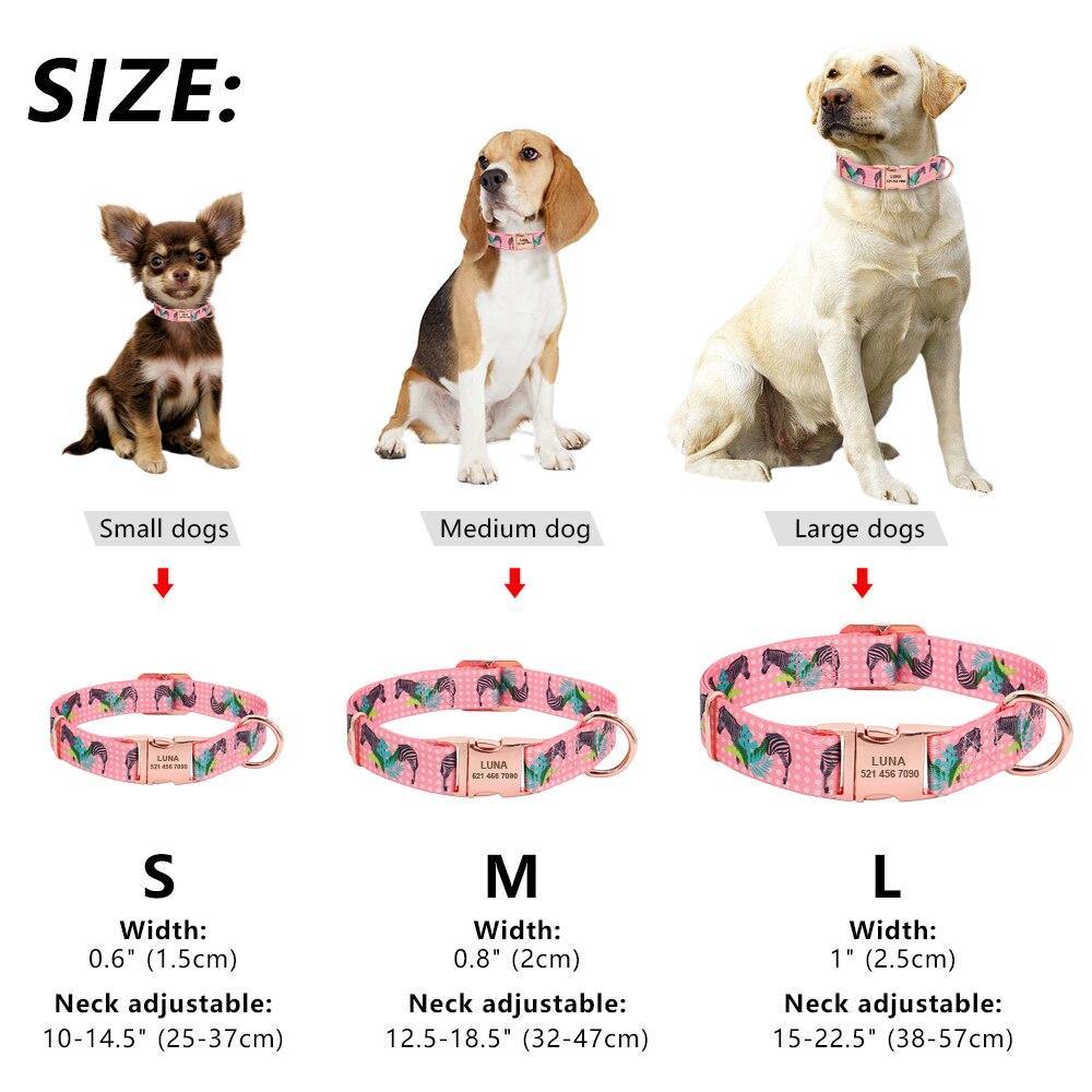 Springing Personalized Collar - Lovepawz