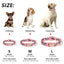 Springing Personalized Collar - Lovepawz