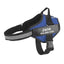 Strap'n'walk Custom Dog Harness - Lovepawz