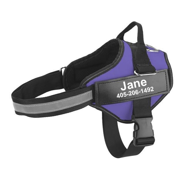Strap'n'walk Custom Dog Harness - Lovepawz