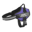 Strap'n'walk Custom Dog Harness - Lovepawz
