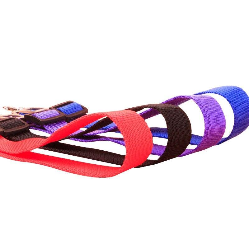 Harness Seatbelt Leash - Lovepawz
