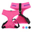 Custom Personalized Dog Harness - Lovepawz
