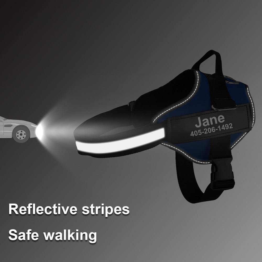 Strap'n'walk Custom Dog Harness - Lovepawz
