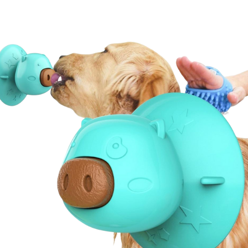 Dog Lick Toy Interactive Cat Dog Toy Licking Treats Toys Pig Nose Shap –  Lovepawz