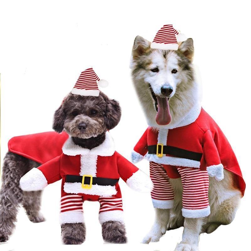 Santa Me Costume - Lovepawz