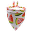 Summer Fruit Bandanas - Lovepawz