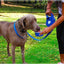 3In1 Super Nylon Dog Leash - Lovepawz