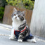 Dog Washable Diaper Overall Clothing Pants - Lovepawz
