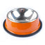 Colorful Stainless Steel Bowls - Lovepawz