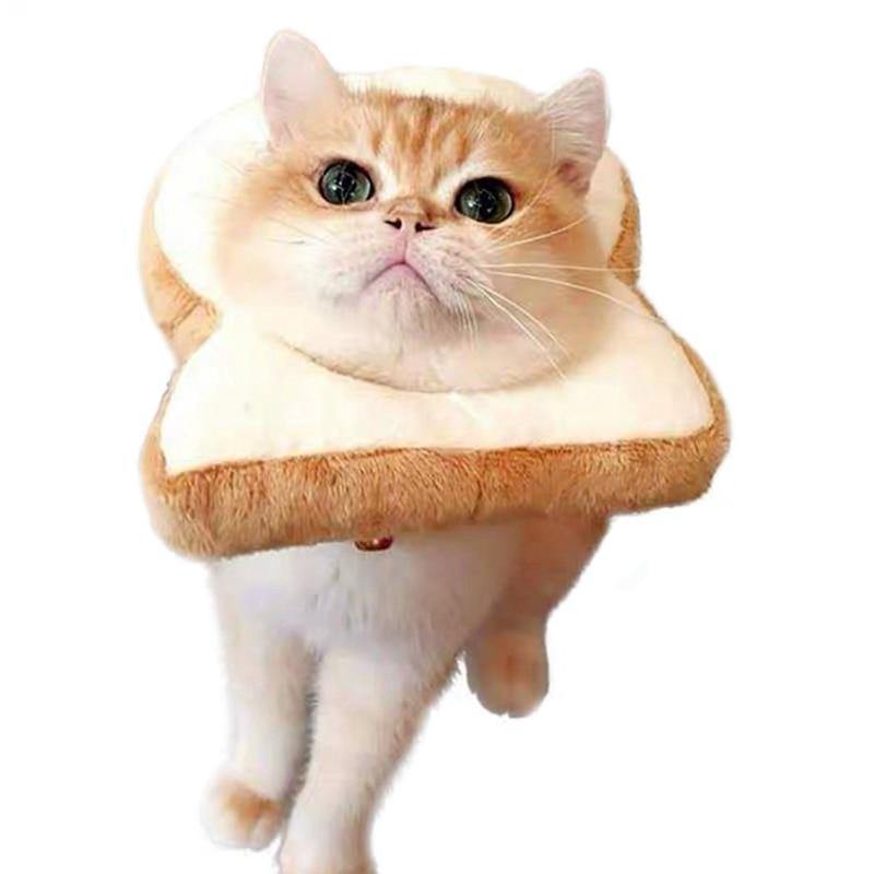 Cat Toasted Head Costume - Lovepawz