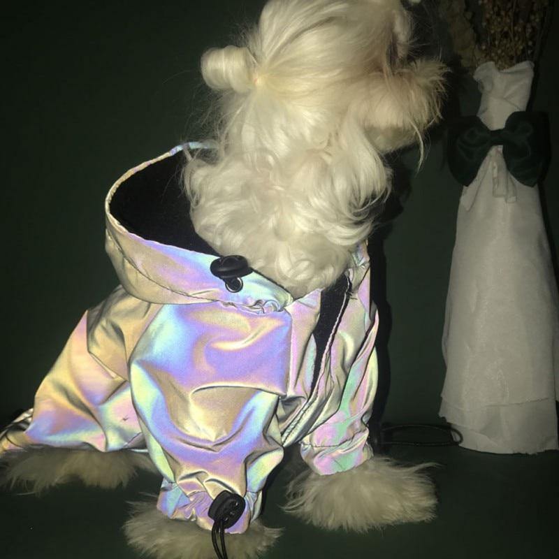 Flashy Glossy Dog Hoodie Waterproof Jacket - Lovepawz