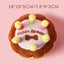 Birthday Candle Cake Dog Bite Resistant Plush Toy - Lovepawz