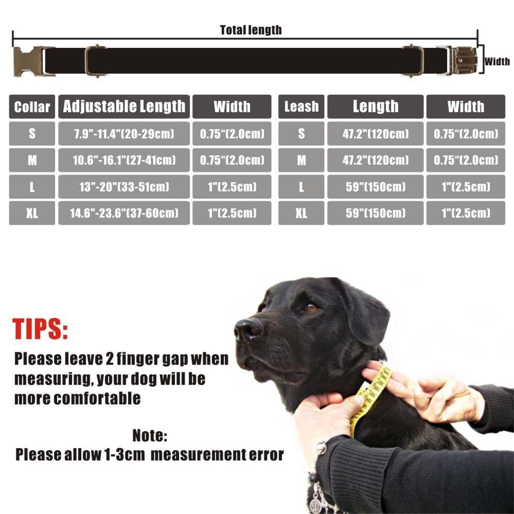 Banana Custom Collar - Lovepawz