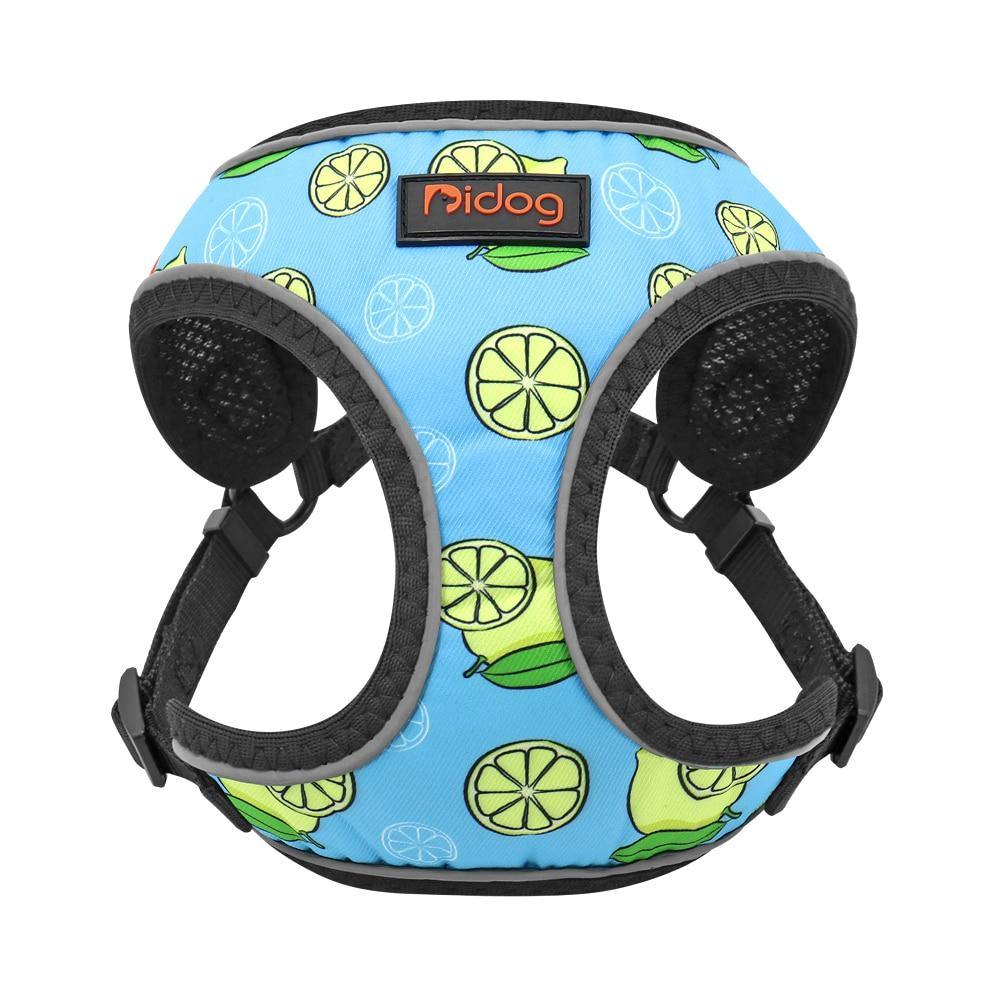 Watermelon Sugar Harness Set - Lovepawz
