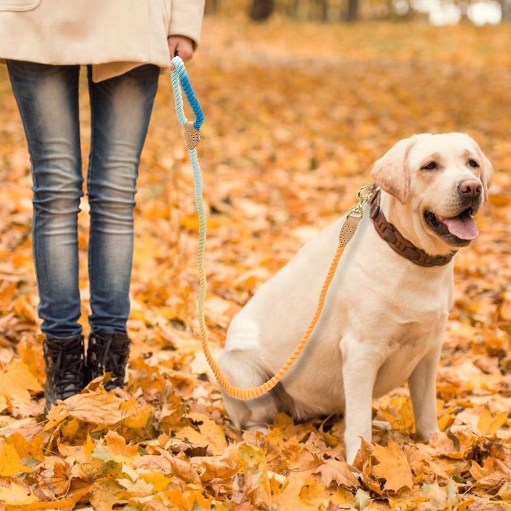 Nautical Leash - Lovepawz