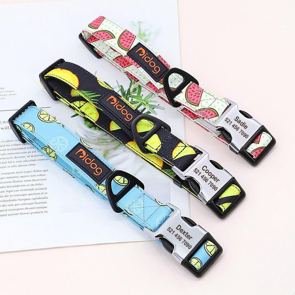 Watermelon Sugar Collar Sets - Lovepawz