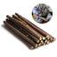 Natural Catnip Pet Cat Molar Toothpaste Stick - Lovepawz