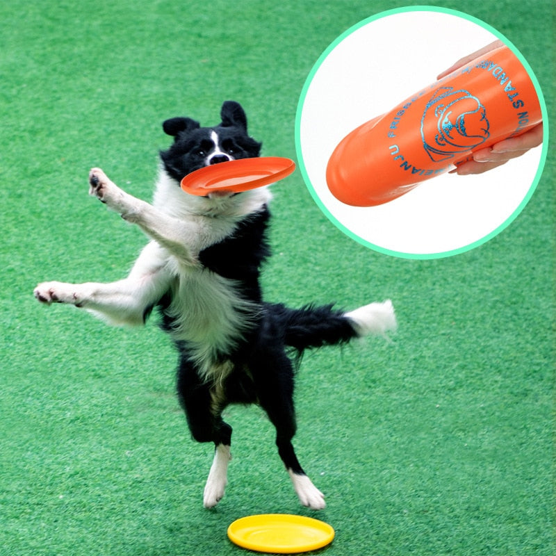 Pet Flying Frisbee Interactive Saucer Game - Lovepawz