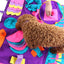 Training Pet Snuffle Mat - Lovepawz - Lovepawz