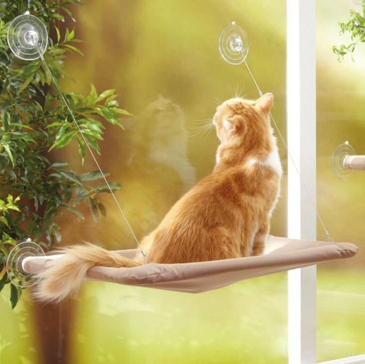 Cat Window Hammock - Lovepawz