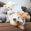 Cute Plush Dog Snuggle Sleep Heart Toy Bear - Lovepawz