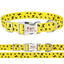 Lighting Bolter Collar - Lovepawz