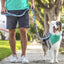 Graffiti Leash - Lovepawz