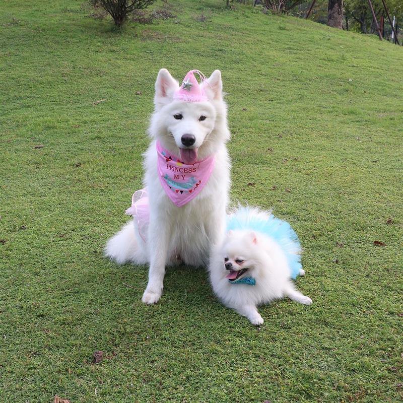 "Happy Birthday" Bandanas - Lovepawz