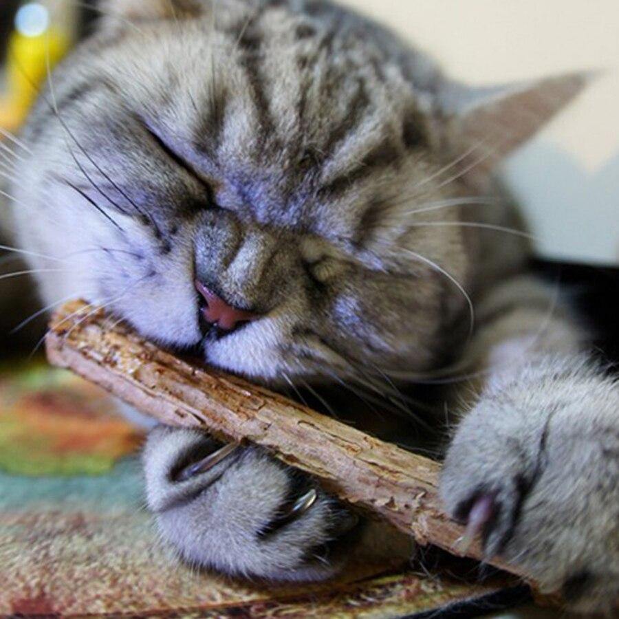 Natural Catnip Pet Cat Molar Toothpaste Stick - Lovepawz