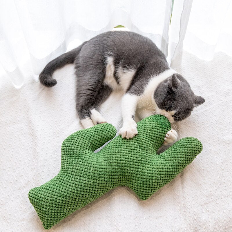 Cactus Catnip Cat Toy Pet Plush Chew Teeth Toy - Lovepawz