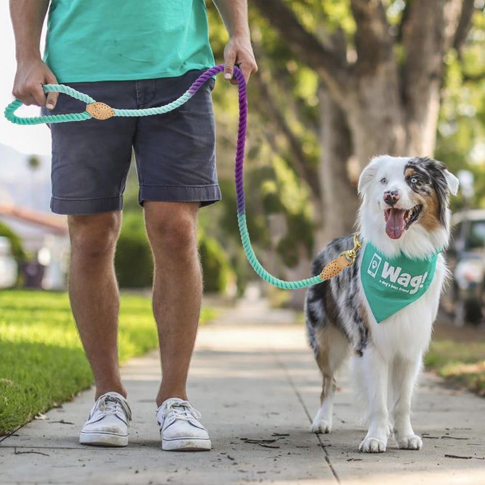 Nautical Leash - Lovepawz