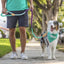 Nautical Leash - Lovepawz