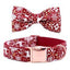 Christmas Snowflake Collar - Lovepawz